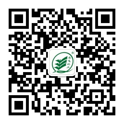 91制片麻豆成人视频
